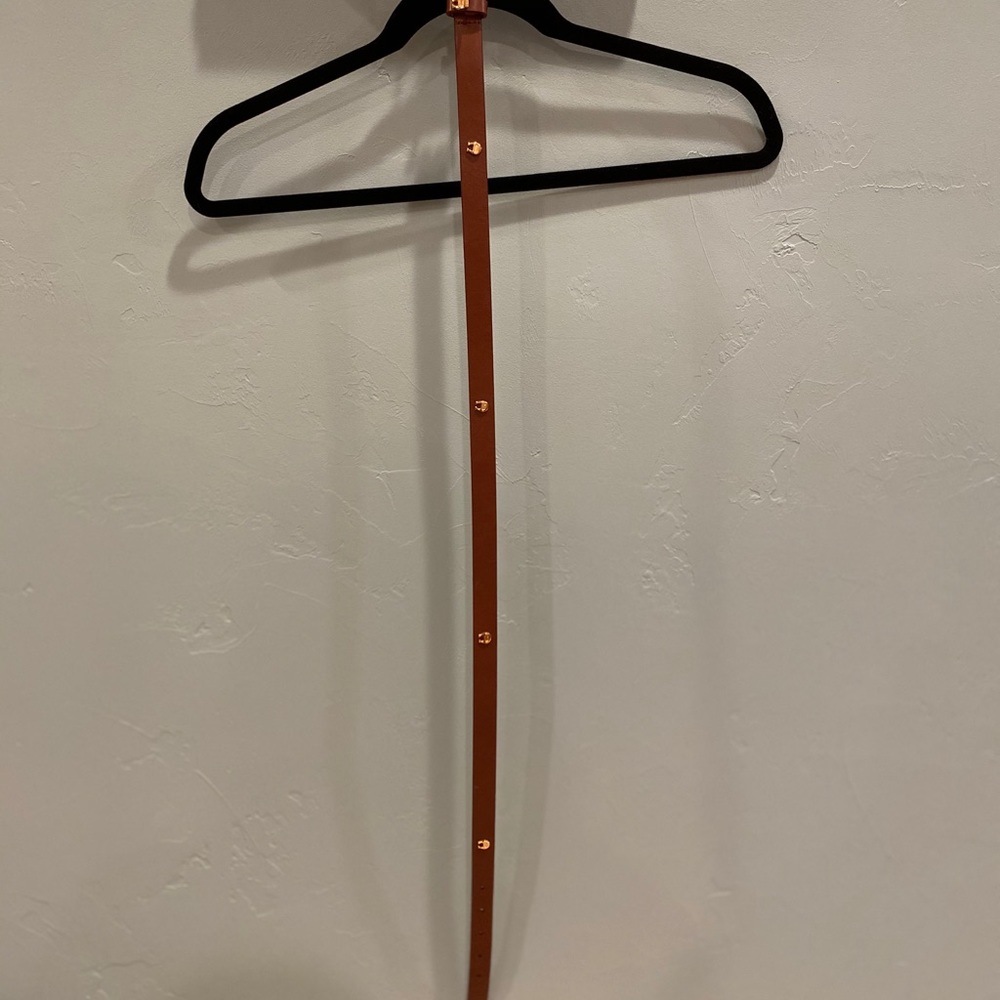 Leather Belt with Horse Shoes